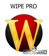 Wipe Professional 2023.06 instal the new for mac